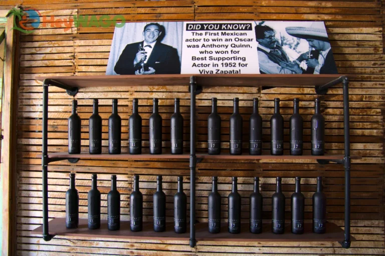 Ancestral Craft Spirits 4