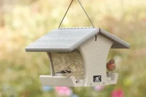 Wild Birds Unlimited Of Mcallen Tx 2