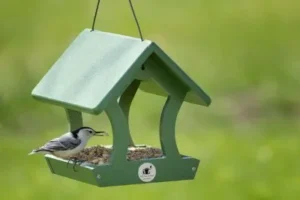 Wild Birds Unlimited Of Mcallen Tx 6