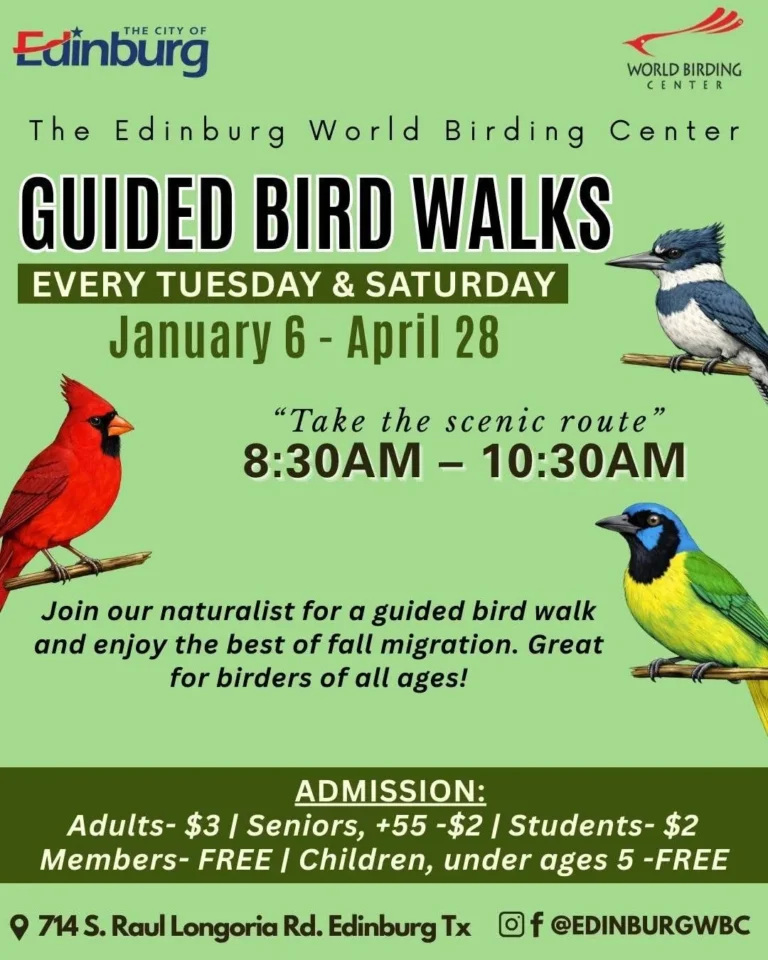 Guided Bird Walks Edinburg World Birding Center