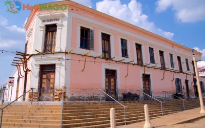 Ancestral Craft Spirits 15