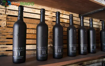 Ancestral Craft Spirits 2