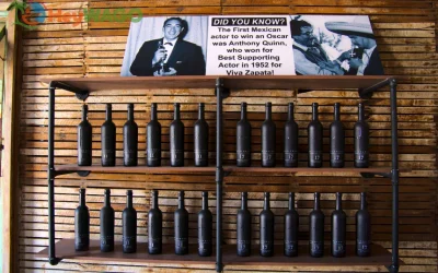 Ancestral Craft Spirits 4