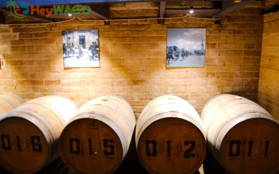 Ancestral Craft Spirits 9