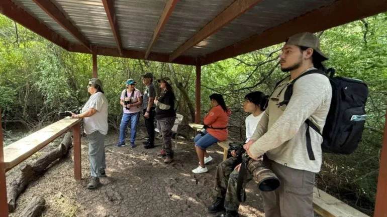 Wild Birds Unlimited Of Mcallen Tx 13