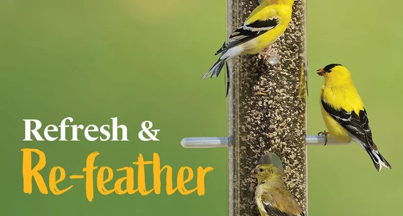 Wild Birds Unlimited Of Mcallen Tx 15